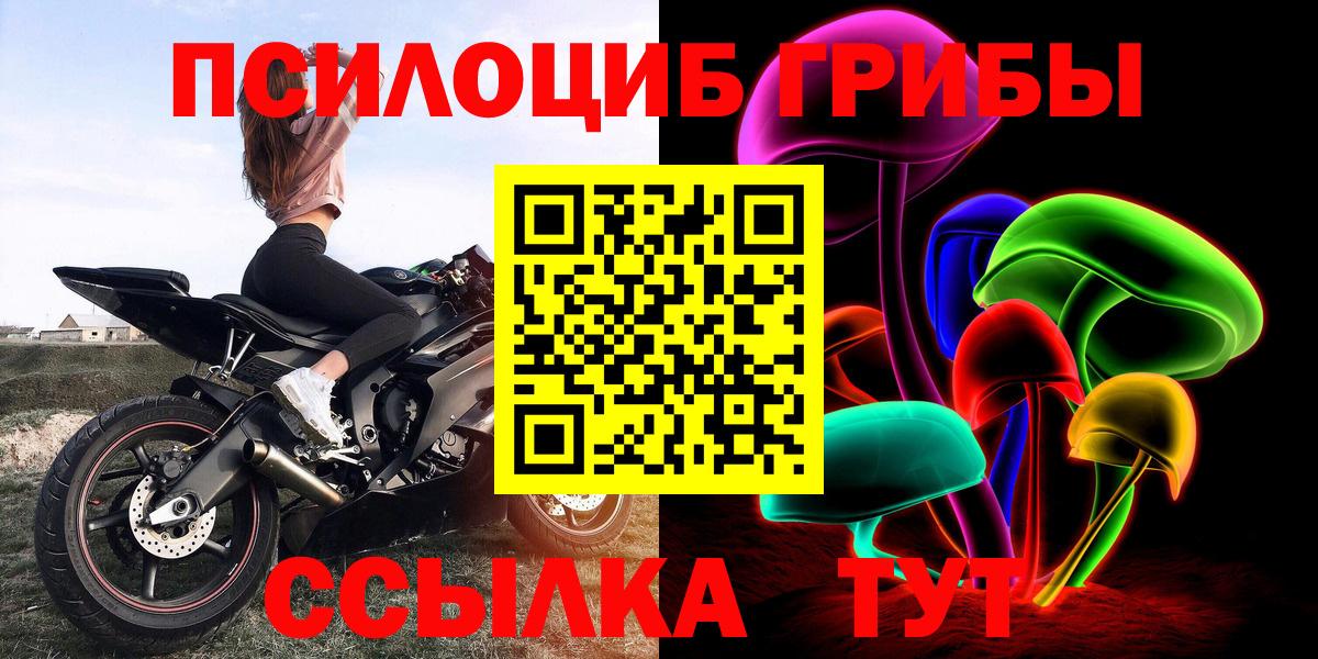 Псилоцибиновые грибы Psilocybine cubensis  Вход с VPN  Галлюциногенные грибы GOLDEN TEACHER  Мыски 