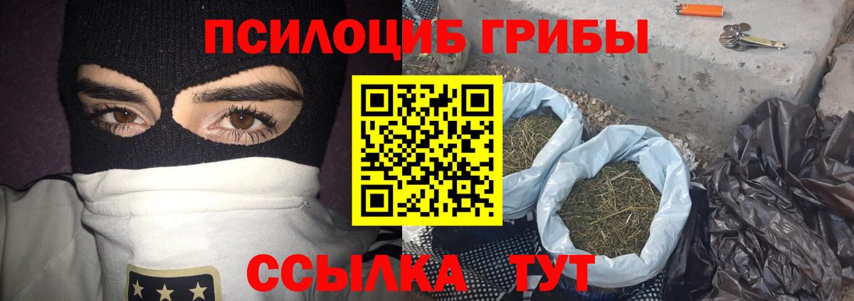 Псилоцибиновые грибы Magic Shrooms Мыски